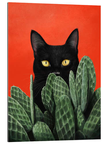 Gallery print Black cat in cactuses