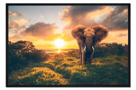 Gerahmter Kunstdruck Afrikanischer Elefant im Sonnenuntergang