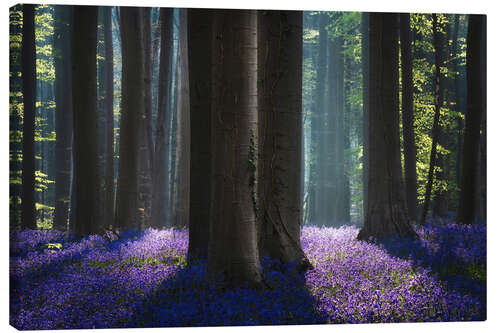 Canvas print Magical bluebell Forest