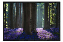 Gerahmter Kunstdruck Zauberhafter Wald aus Glockenblumen