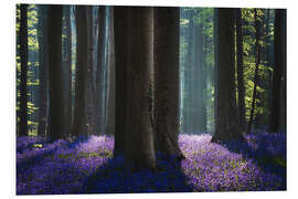 Stampa su PVC Magical bluebell Forest