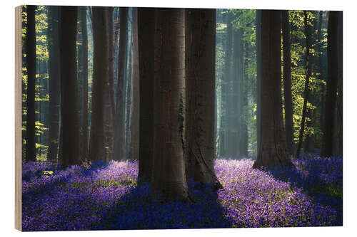 Holzbild Zauberhafter Wald aus Glockenblumen