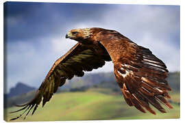 Canvastavla Golden Eagle