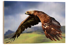 Quadro de madeira Golden Eagle