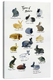 Quadro em tela Types of Rabbits