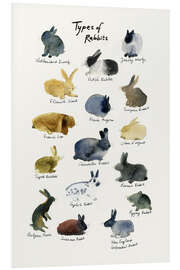 Foam board print Types of Rabbits