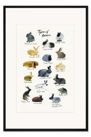 Gerahmter Kunstdruck Arten von Kaninchen