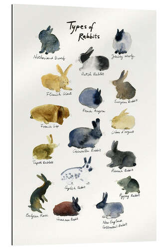 Gallery print Types of Rabbits