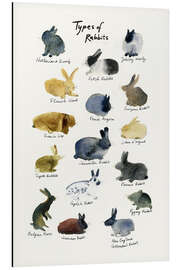 Magnettafel Arten von Kaninchen