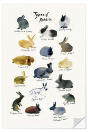 Sticker mural Types of Rabbits