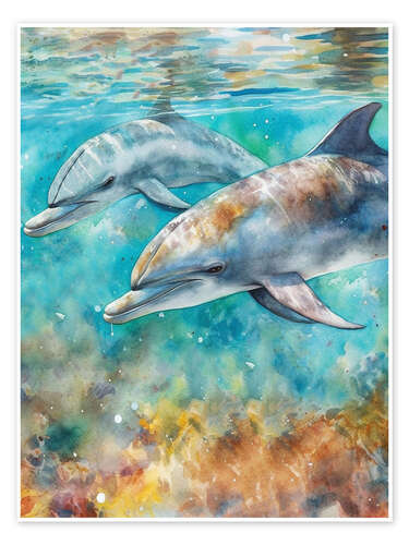 Poster Dolphin Summer