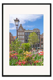 Gerahmter Kunstdruck Bunte Blumen in Amsterdam, Niederlande