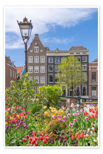 Poster Bunte Blumen in Amsterdam, Niederlande