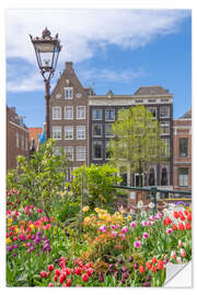 Selvklæbende plakat Colourful flowers in Amsterdam, Netherlands