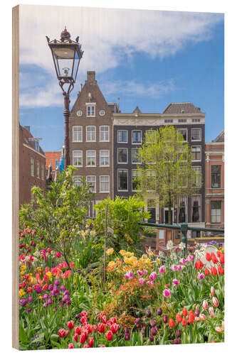 Wood print Colourful flowers in Amsterdam, Netherlands