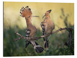 Magnettafel Dress to impress