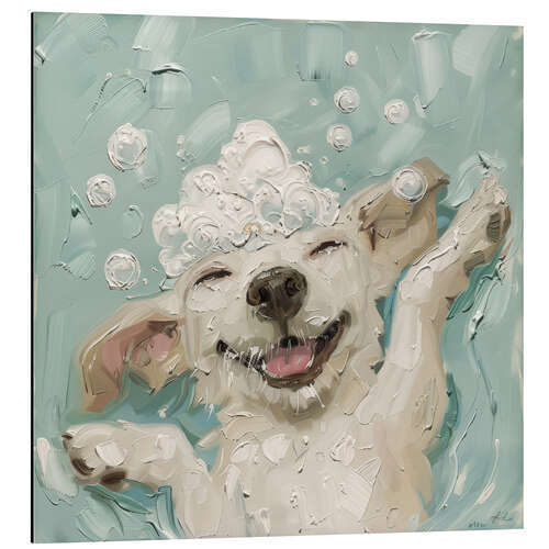 Aluminium print Happy dog in the bathroom