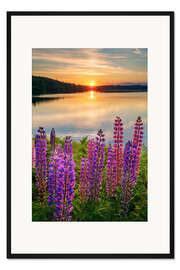 Gerahmter Kunstdruck Sommerabend in Schweden