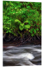 Acrylglasbild Selketal im Harz
