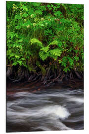 Magnettafel Selketal im Harz