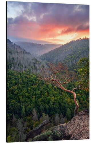 Aluminium print Ilsenstein in the Harz