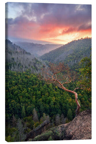 Tableau sur toile Ilsenstein in the Harz