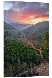 Foam board print Ilsenstein in the Harz