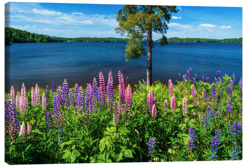 Canvas print Lake paradise in Sweden