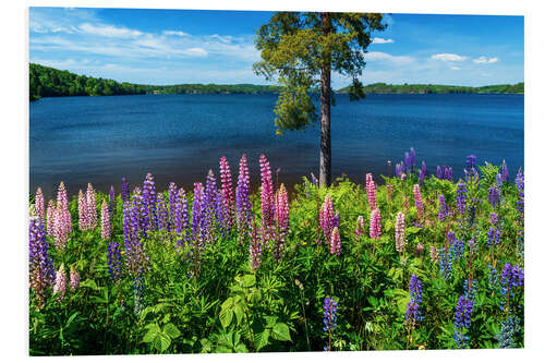 Tableau en PVC Lake paradise in Sweden