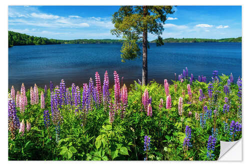 Wall sticker Lake paradise in Sweden