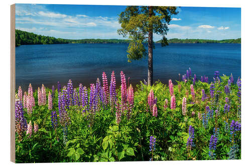 Hout print Lake paradise in Sweden