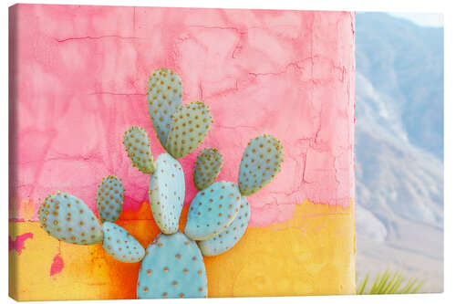 Leinwandbild California Dreaming - Cactus Colourwall