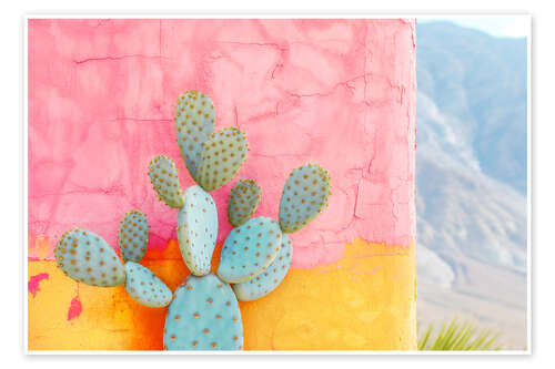 Poster California Dreaming - Cactus Colourwall