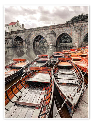 Poster Boats moored on river bank