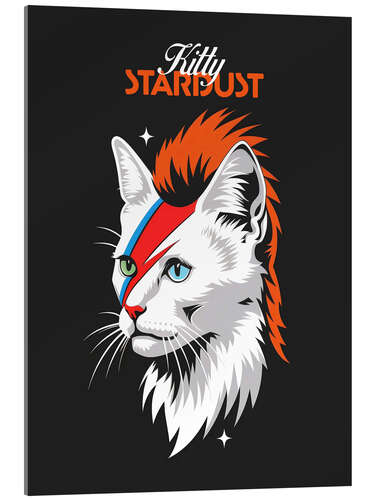Obraz na szkle akrylowym Kitty Stardust