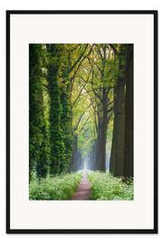 Gerahmter Kunstdruck Baumgesäumte Frühlingsstraße