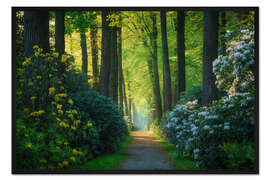 Gerahmter Kunstdruck Die Rhododendronallee