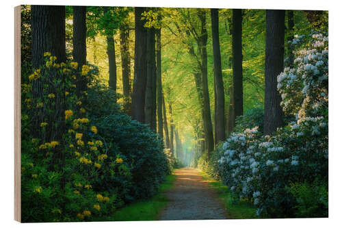 Holzbild Die Rhododendronallee