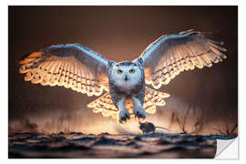 Sisustustarra Snowy owl hunting