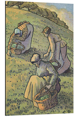 Cuadro de aluminio Women collecting mushrooms, from "Travaux des Champs", 1893