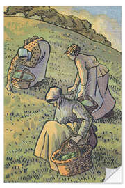 Selvklebende plakat Women collecting mushrooms, from "Travaux des Champs", 1893