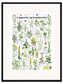 Gerahmter Kunstdruck Heil- und Küchenkräuter (dänisch)
