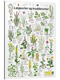 Magnettafel Heil- und Küchenkräuter (dänisch)