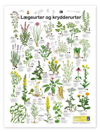 Poster Medicinal and culinary herbs (Danish)