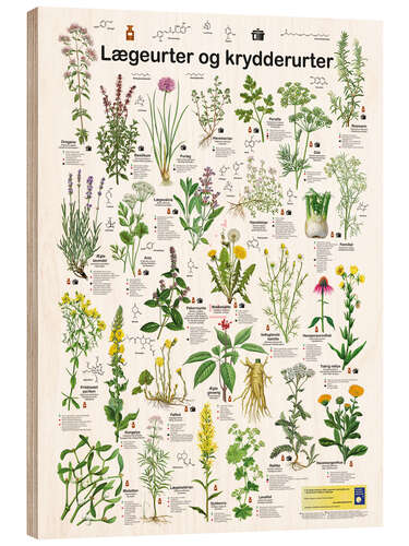 Wood print Medicinal and culinary herbs (Danish)