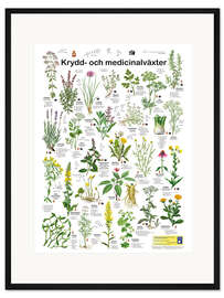 Gerahmter Kunstdruck Heil- und Küchenkräuter (schwedisch)