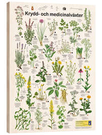 Trebilde Medicinal and culinary herbs (Swedish)