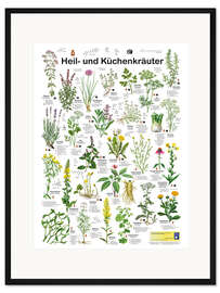 Gerahmter Kunstdruck Heil- und Küchenkräuter