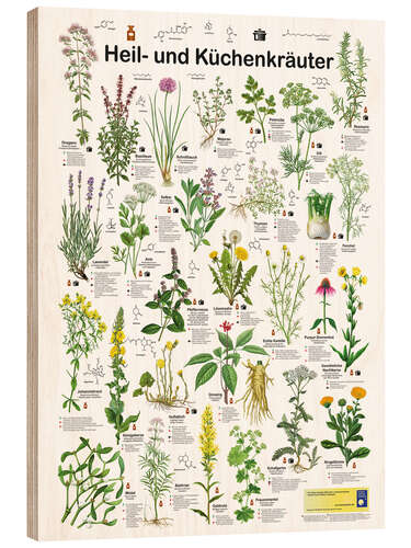 Stampa su legno Medicinal and culinary herbs (German)