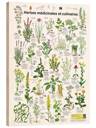 Stampa su legno Medicinal and culinary herbs (French)